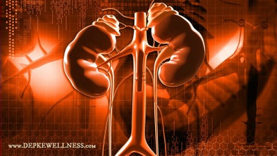 Addison’s Disease, Adrenals & Autoimmunity