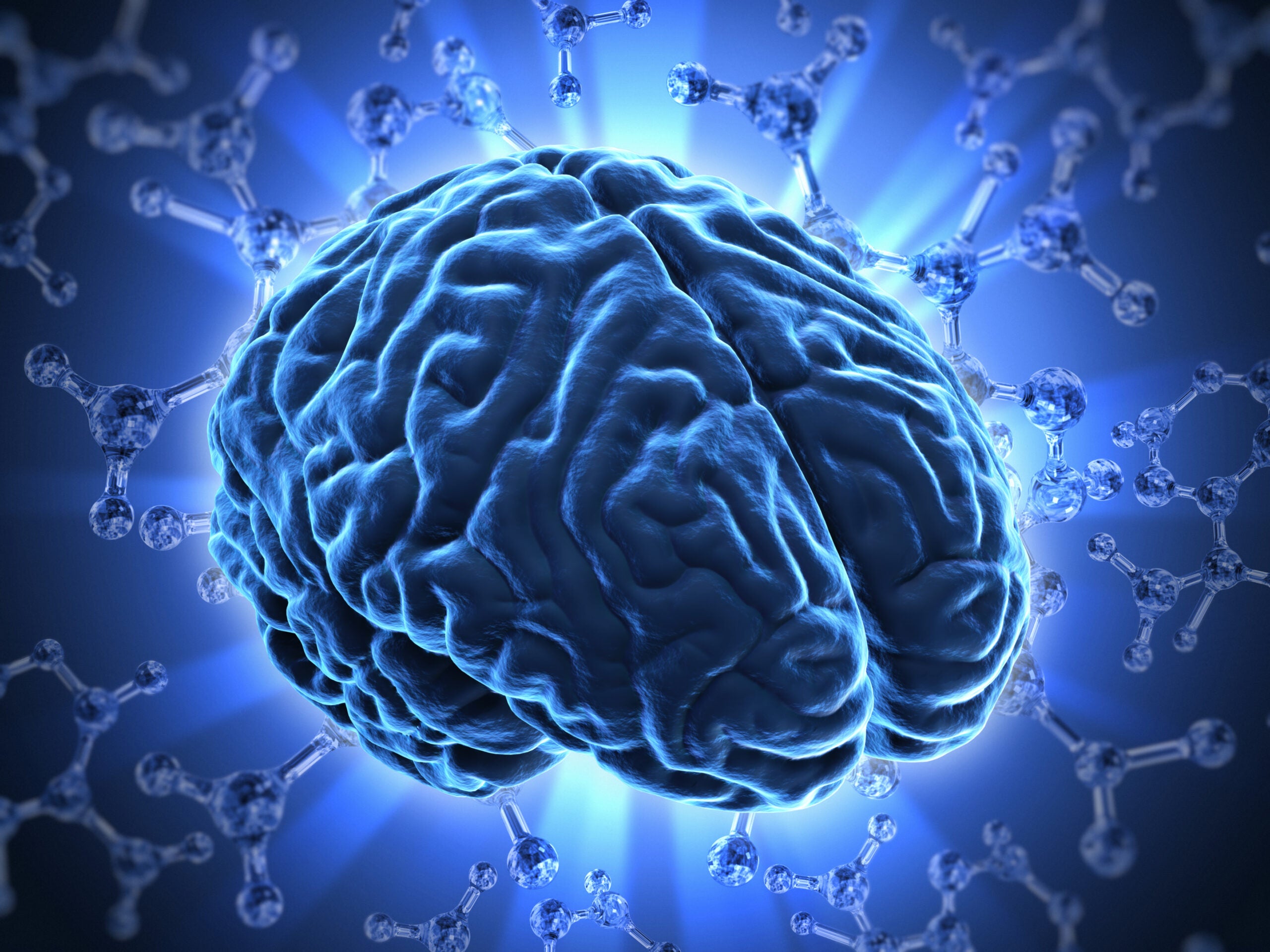 What is the Brain/Immune Connection?