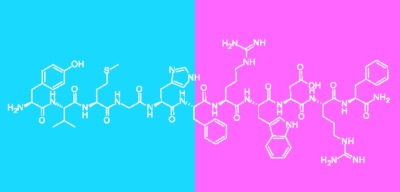 This Forgotten Hormone “Cracks Open” Resistant Fat Cells…