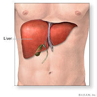 There’s More to Detox than the Liver…
