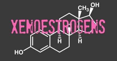 Xenoestrogens Dangers