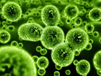 Antibiotoic Resistant Bacteria