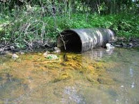 Detox w/o Drainage…Scary!