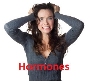 PLUS Profile 24-Hour Urine Hormone Testing #4080 Plus Video Interpretation and Recommendations